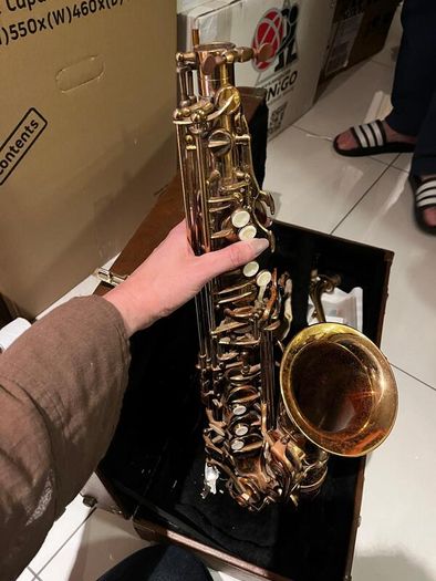 Artemis Alto Saxophone with Hard Case