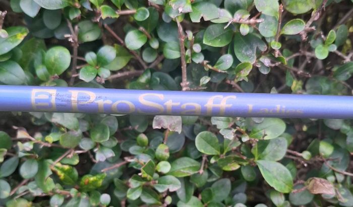 Wilson Prostaff Sand Wedge Ladies Graphite Right Handed