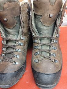 Han-Wag Hiking boots