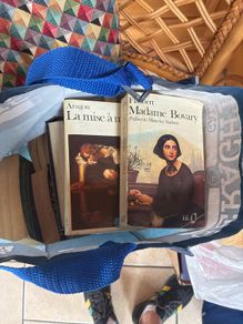 French Novels & Books
