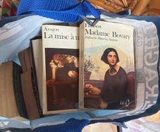 French Novels & Books
