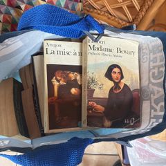 French Novels & Books