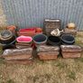 15 Delph Plant pots & around 50 others Image 2