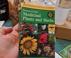 eastern/ Central Medicinal Plants and herbs
