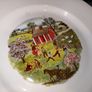 Pair of rare Royal Tara large plates Image 4