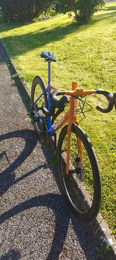 Giant TCR