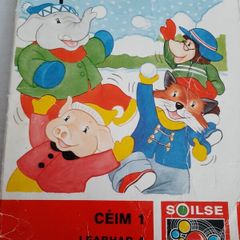 Gaeilge Fallons vintage school books
