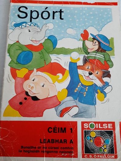 Gaeilge Fallons vintage school books