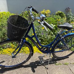 Ladies Raleigh bike