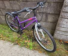 Acorn Serena Bike, 18 Speed