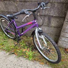Acorn Serena Bike, 18 Speed