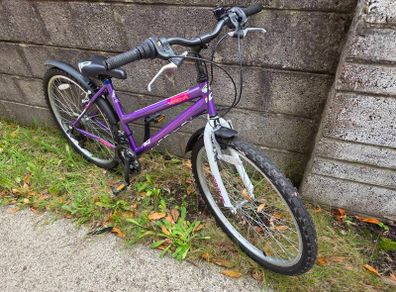 Acorn Serena Bike, 18 Speed