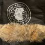 Canada goose Wyndham Image 3