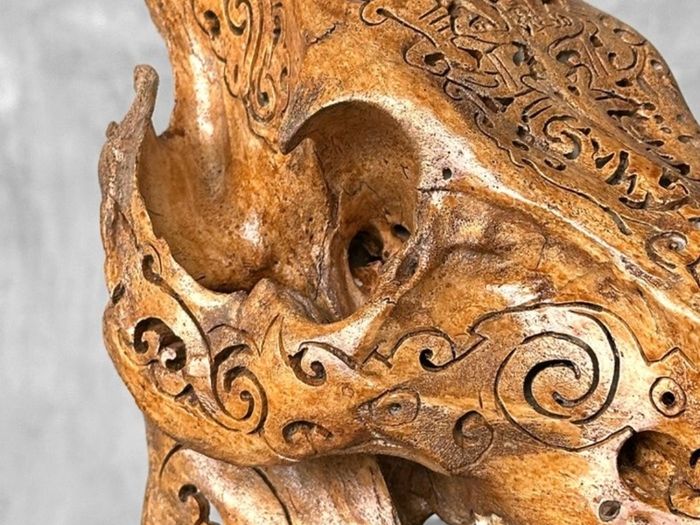 Authentic Hand Carved Wild Boar Skull - Bone