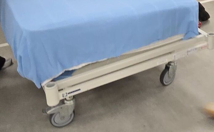 Linet Pegasus Community Electric Hospital Bed with
