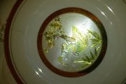 nice plate with gold rim details
