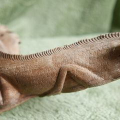 Unusual hand carved wooden lizard on exotic tree branch