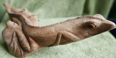 Unusual hand carved wooden lizard on exotic tree branch