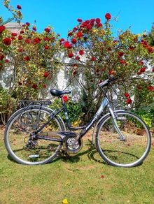 Ladys Bike