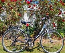 Ladys Bike