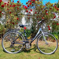 Ladys Bike