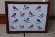 Vintage Cushion Lap Tray  " Garden Birds "