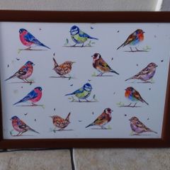 Vintage Cushion Lap Tray  " Garden Birds "