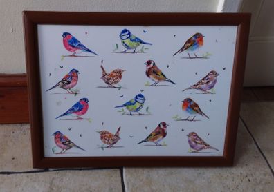 Vintage Cushion Lap Tray  " Garden Birds "
