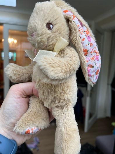 Cute Cuddly Rabbit x 2
