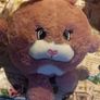heatable teddy bunny Image 2