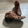 Leopard Ankle Boots - Size 4/37 Image 4
