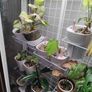 DIY Glasshouse Milsbo + lighting + Accessories Image 5