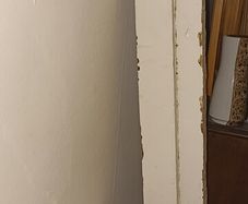 Old Solid Painted Pine Doors