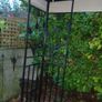 gazebo Image 8