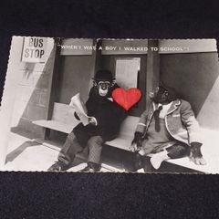 The Brooke Bond Tea Television Chimps - Real Photo Postcard
