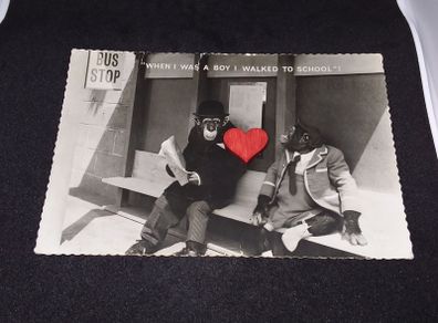 The Brooke Bond Tea Television Chimps - Real Photo Postcard