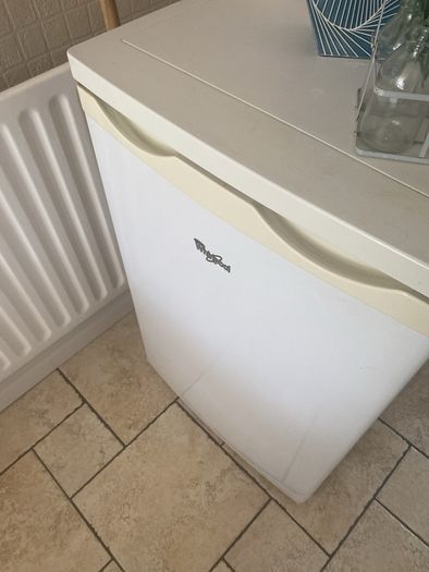 fridge free standing