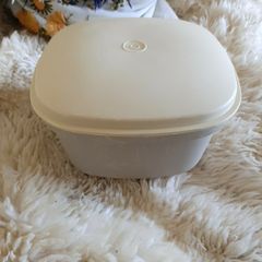 Tupperware container with strainer
