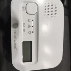 carbon monoxide