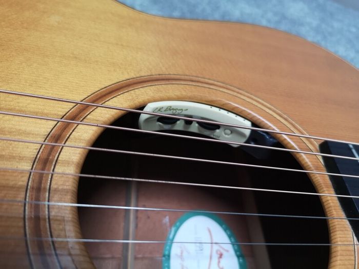 Lowden F12 LR Baggs Anthem