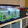 Fish Tank Image 2