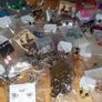Job Lot 100 Pairs Brand New Earrings Wrapped Image 7