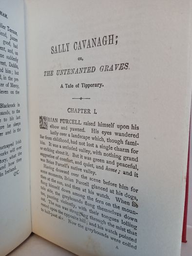 Sally Cavanagh or, The Untenanted Graves: A Tale of Tipperary by Charles J. Kickham (CP122)