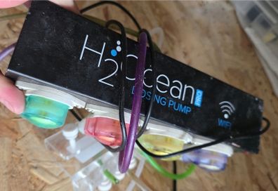 DD H2Ocean 4 Channel Wifi Dosing Pump - PRO Version