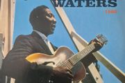 Muddy Waters - At Newport 1960, Vinyl, LP, Blue coloured vinyl, RE