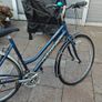 Ladies Ridgeback Motion Adult Bike - Blue Image 3