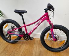 specialized bike
