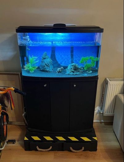 80L Aquarium with Black Cabinet and Accessories