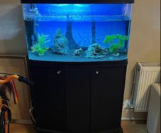 80L Aquarium with Black Cabinet and Accessories