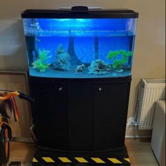 80L Aquarium with Black Cabinet and Accessories